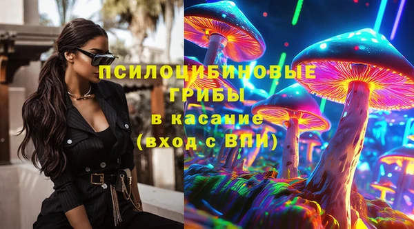 СК Аркадак
